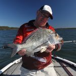 At 2.2kg, this bream represents a millstone for tournament anglers  